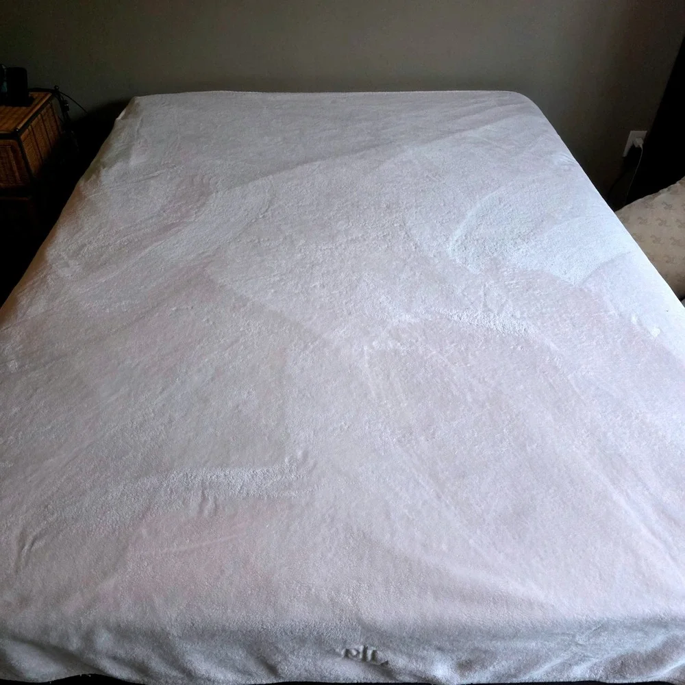 Lauren Ralph Lauren King Plush Microluxe Velvety Blanket Pale Pink RLL Monogram